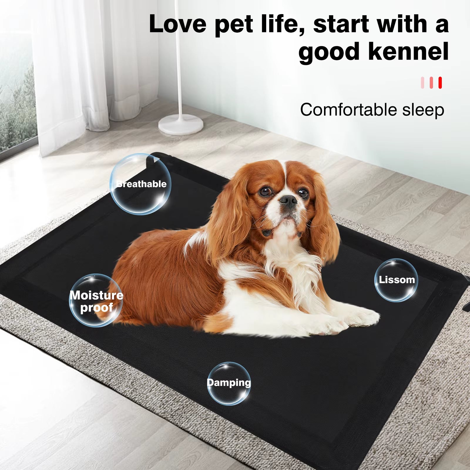 Elevated Pet Bed Elevated Raised Dog Sofa Bed Elevated Waterproof Dog Bed with Mesh,Cooling Dog Beds for Large Medium Small Dogs